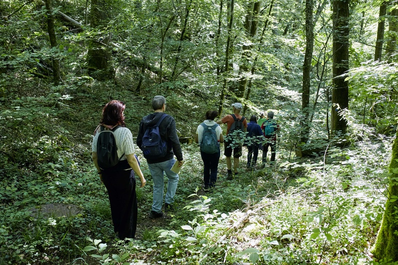 Rallye pédestre