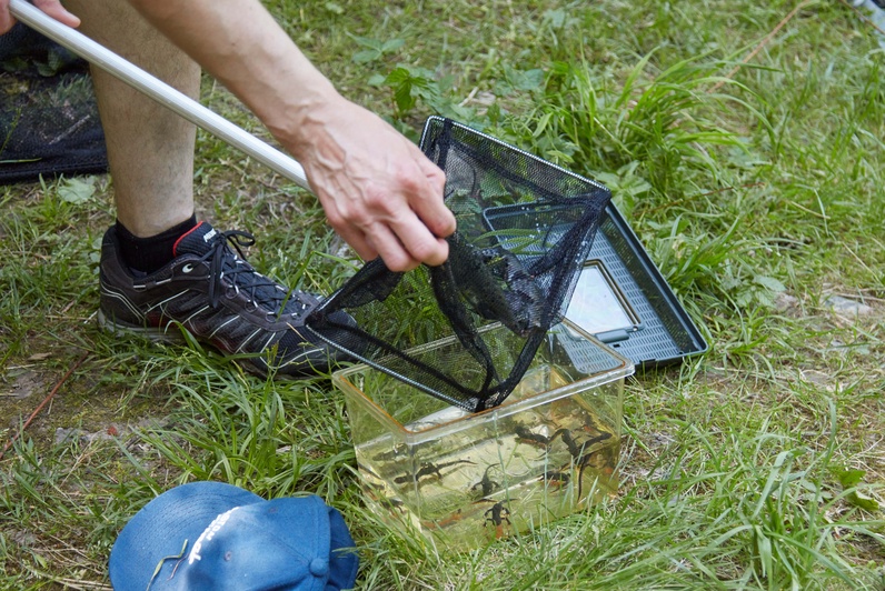 Test Fête de la Nature
