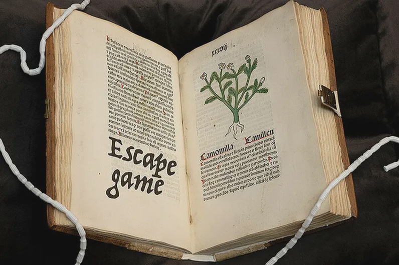 Enigma Botanica: 60 minutes pour trouver la plante qui vous sauvera