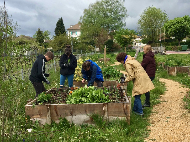 Atelier plantations, arrosage et paillage