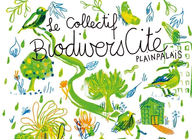 Balade Avifaune « À la découverte de nos voisins les oiseaux »