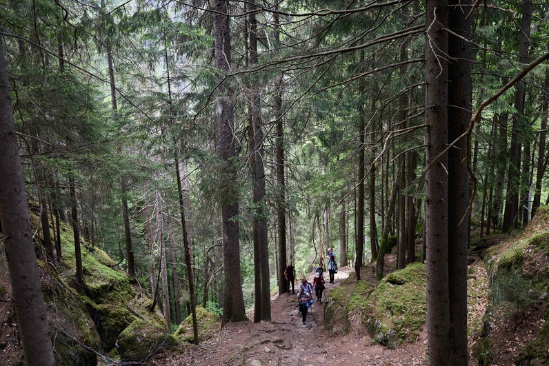 https://wp.fetedelanature.ch/wp-content/uploads/2025/05/H8A7813.jpg