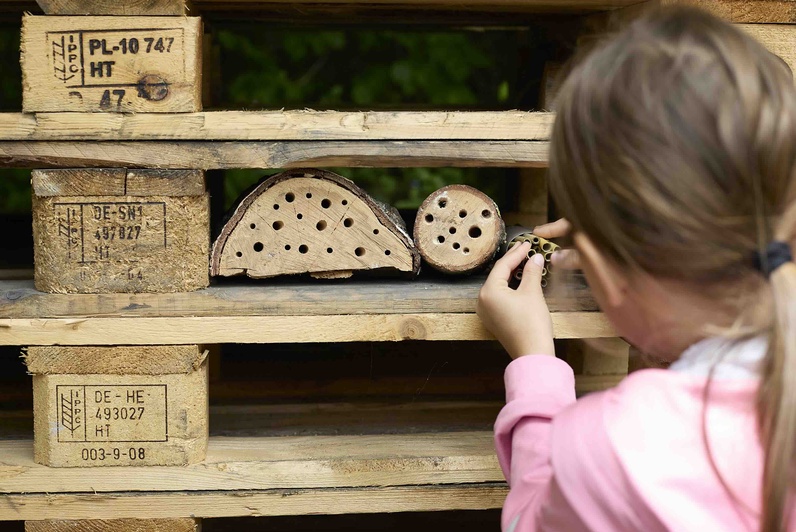 https://wp.fetedelanature.ch/wp-content/uploads/2026/05/4G1A3634.jpeg