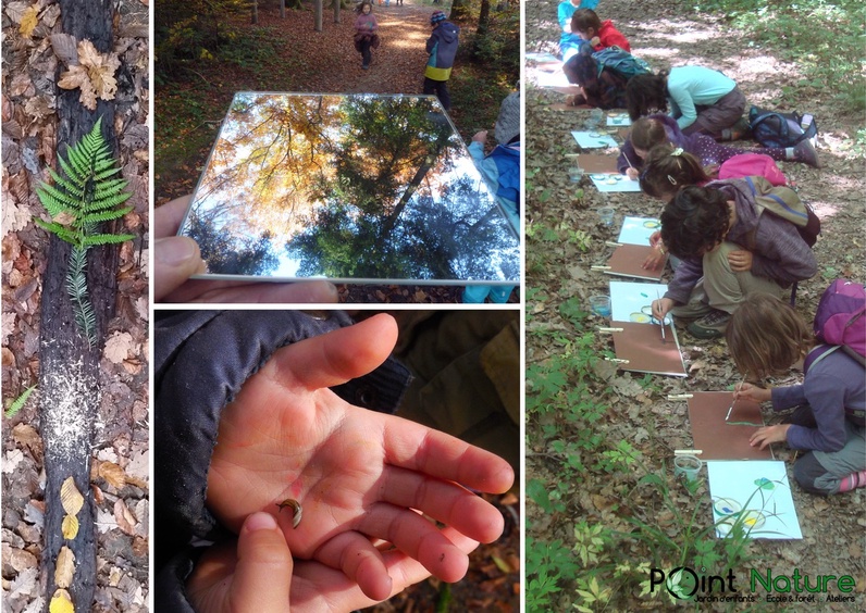 La forêt comme paysage