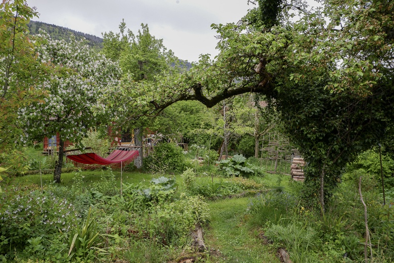 Jardin-forêt et art naturaliste