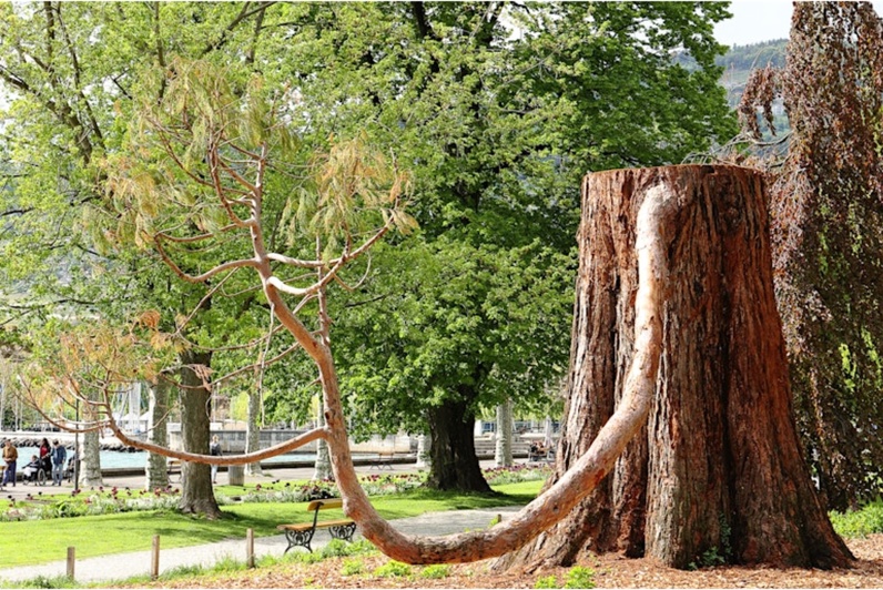 Symposium de sculpture sur bois