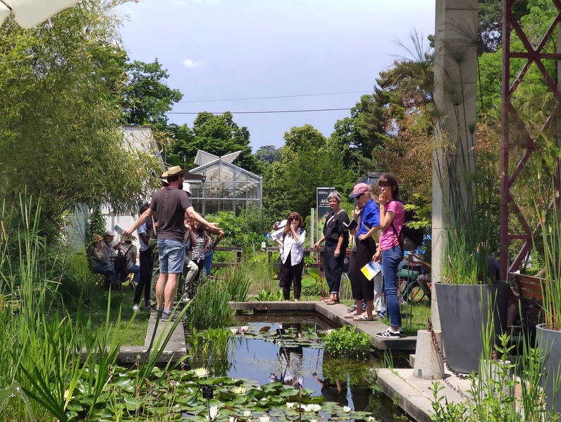 Les insectes des étangs du Jardin
