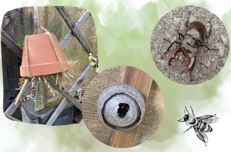 Accueillir la biodiversité - Jeu faune et abris