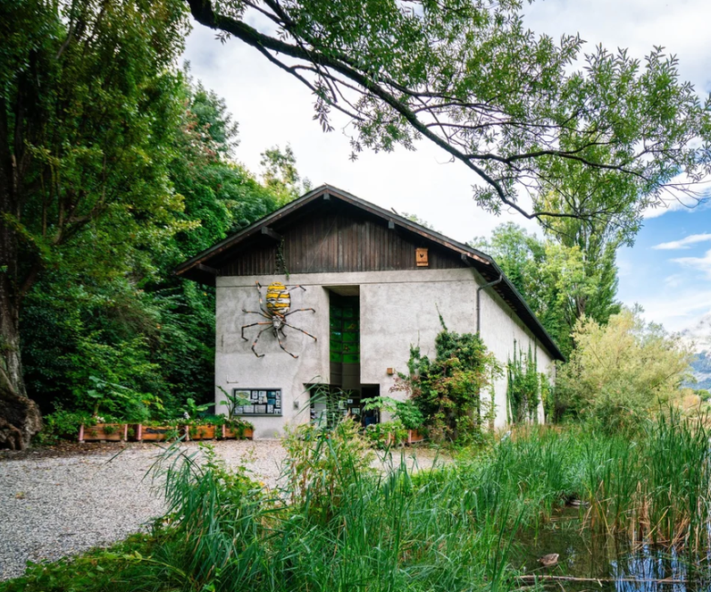 Poils en folie : secrets velus des plantes de Montorge