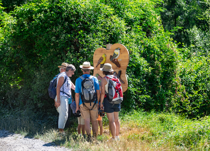 Visite découverte des oiseaux