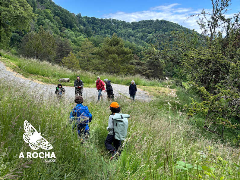 Un oeil dans la prairie & un coup de main à l'Arboretum