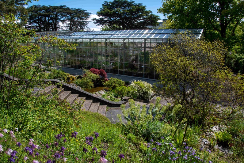 Visite commentée sur l'Histoire du Jardin botanique