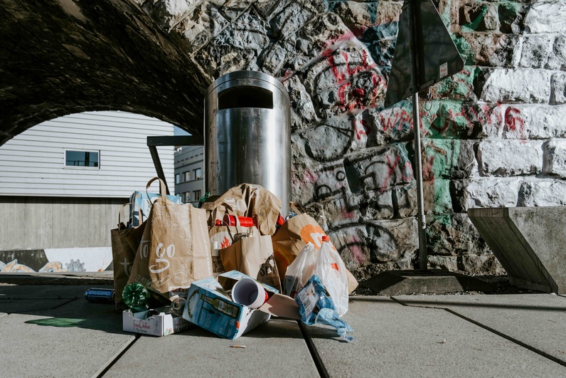 Ramassage des déchets par terre à Gland par Sol à tous - Tous au sol