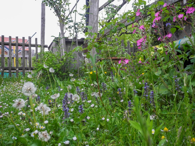 Soirée des Jardins à papillons (GE)