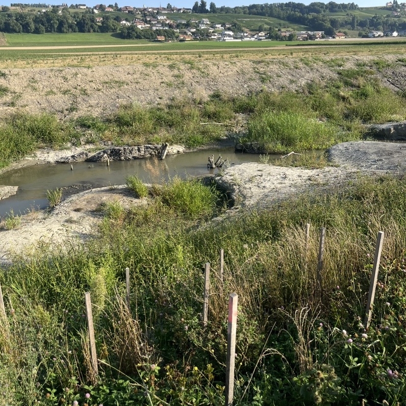 Balade le long de la Petite Glâne de St-Aubin (FR) à Missy (VD)