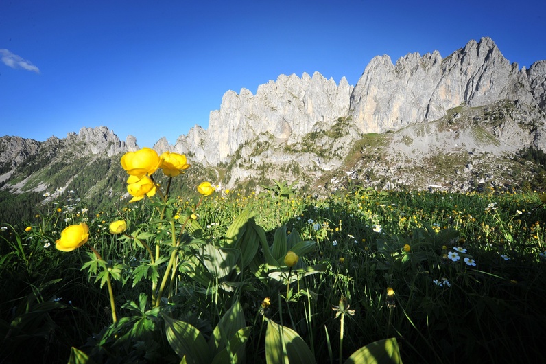 A la découverte des géotopes fribourgeois: sentier géologique des Gastlosen