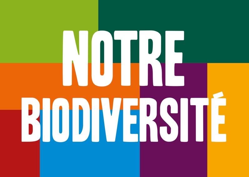 Notre biodiversité : balade discussion