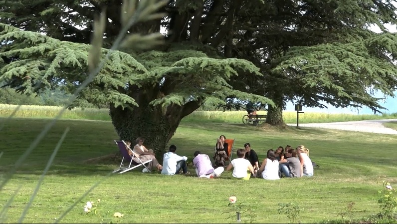 Il était une fois un cèdre du Liban en Suisse...