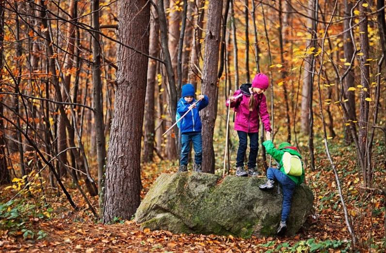 Brico-nature : exploration et création !