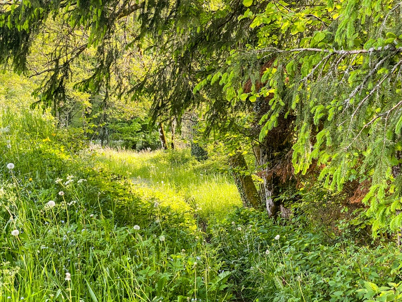 Viens Voir - Arrête Voir !