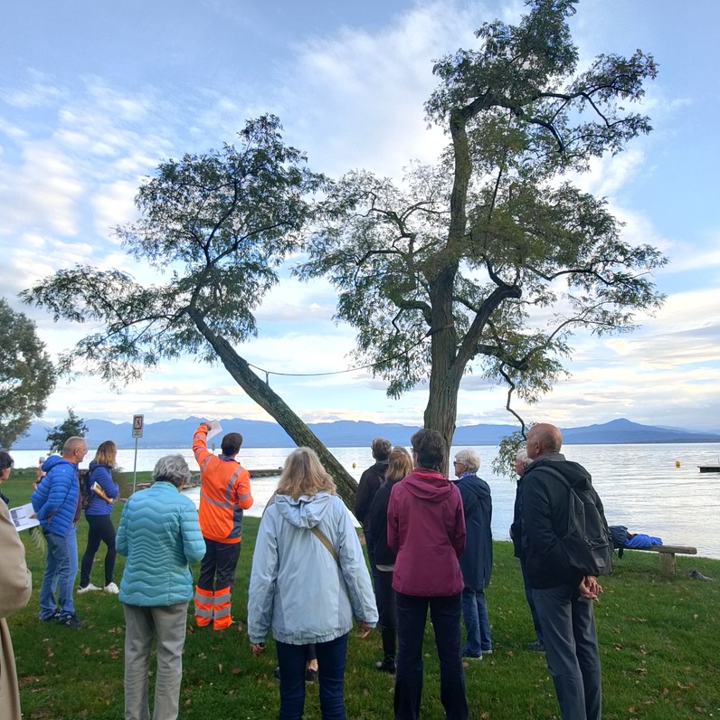 Balade sur le patrimoine arboré de Rolle Est