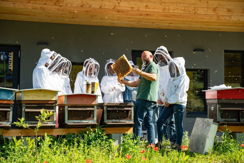 Nos abeilles sauvages et nos pesticides