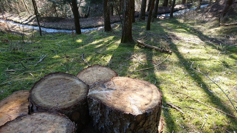 Balade les yeux grands ouverts