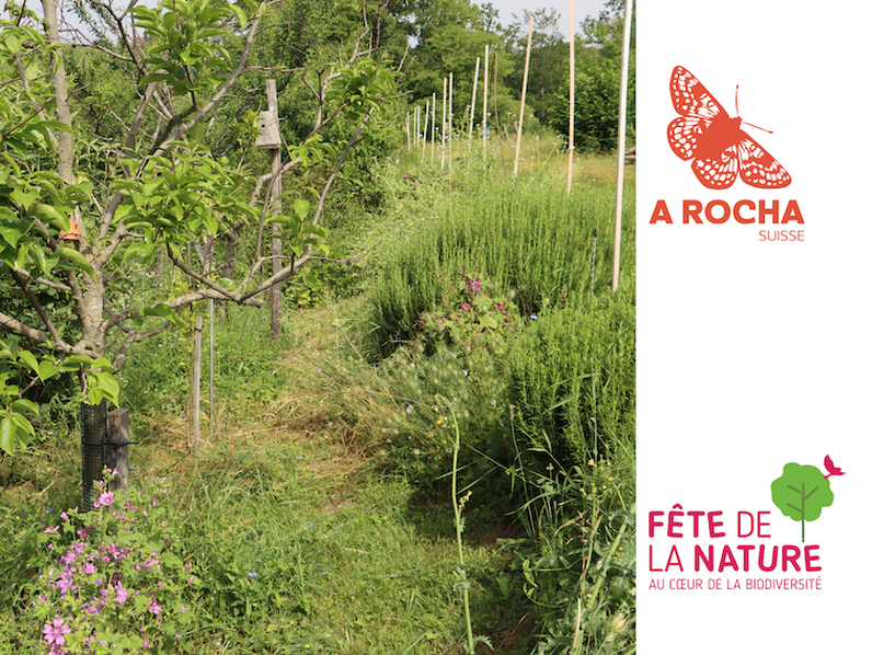 Visite et animation familiale au Biodiverger