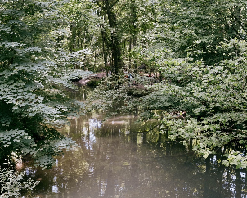 Atelier "rivière vivante"