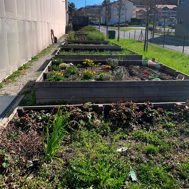 Visite des potagers d’Imaginart