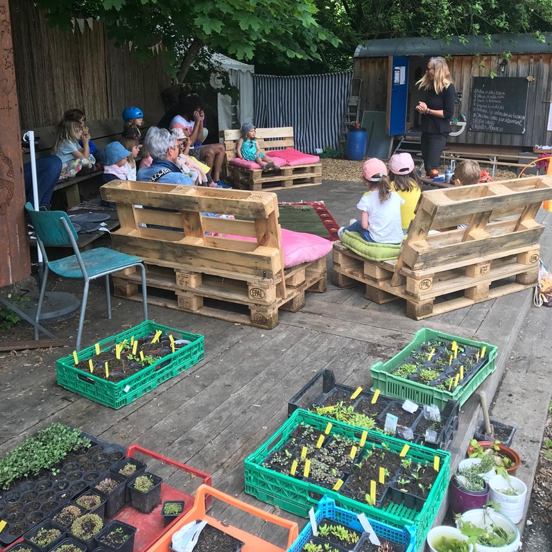 Contes sur les abeilles sauvages