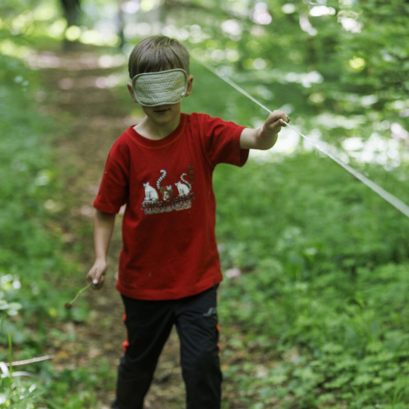 La forêt autrement avec les Rangers