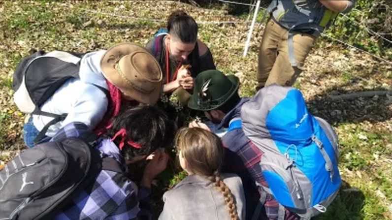 Chasse au trésor végétal