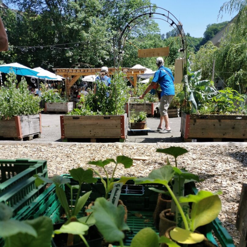 Bourse aux plantons