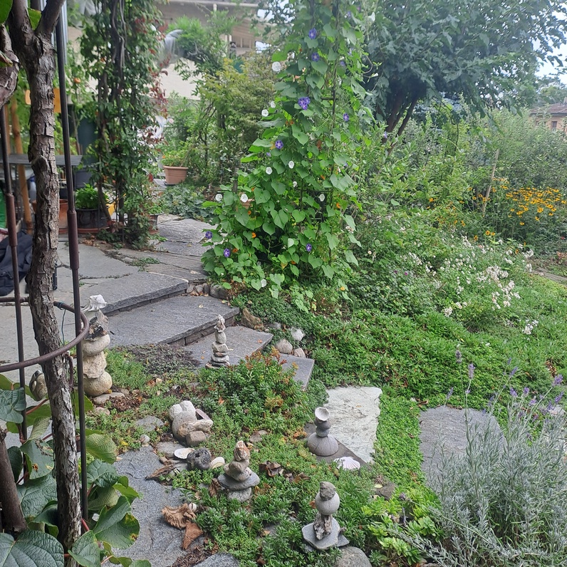 Portes ouvertes d'un jardin favorisant la biodiversité