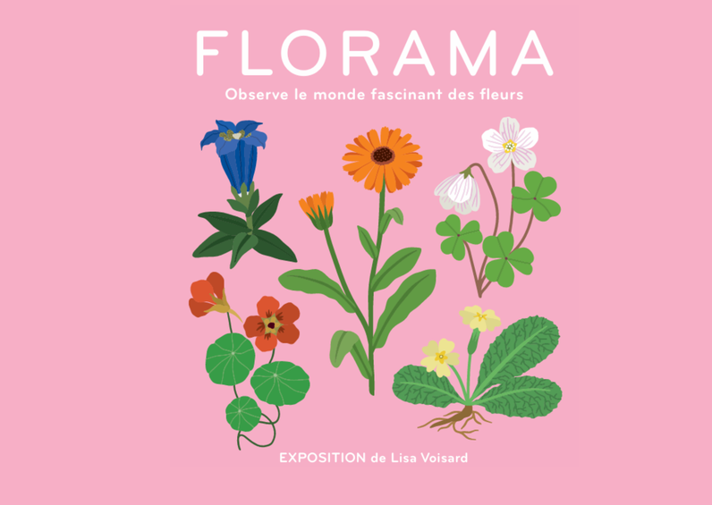 Visite commentée de l'exposition Florama par Lisa Voisard