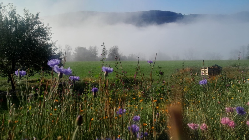 Création de bombes à graines