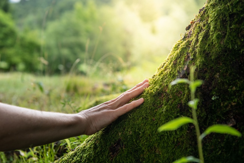 Atelier immersion nature