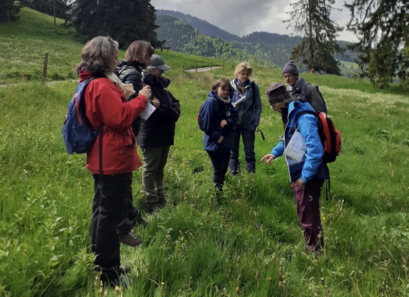 Rencontres de l’herboriste