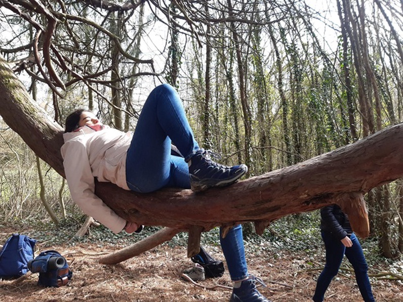 Bain de forêt