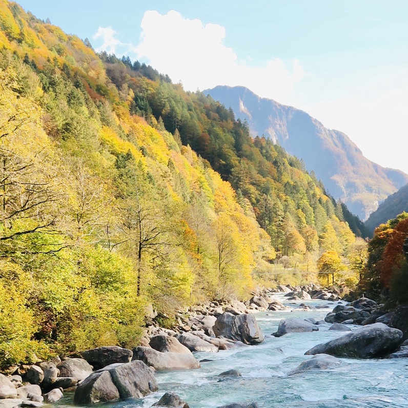 Aquarelle sauvage : voir la nature autrement