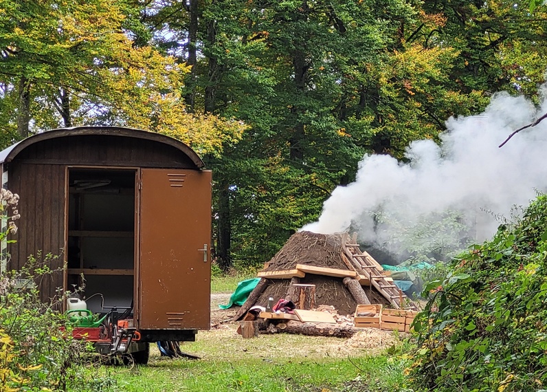 Un tilleul, une meule à charbon et des siècles d'histoire
