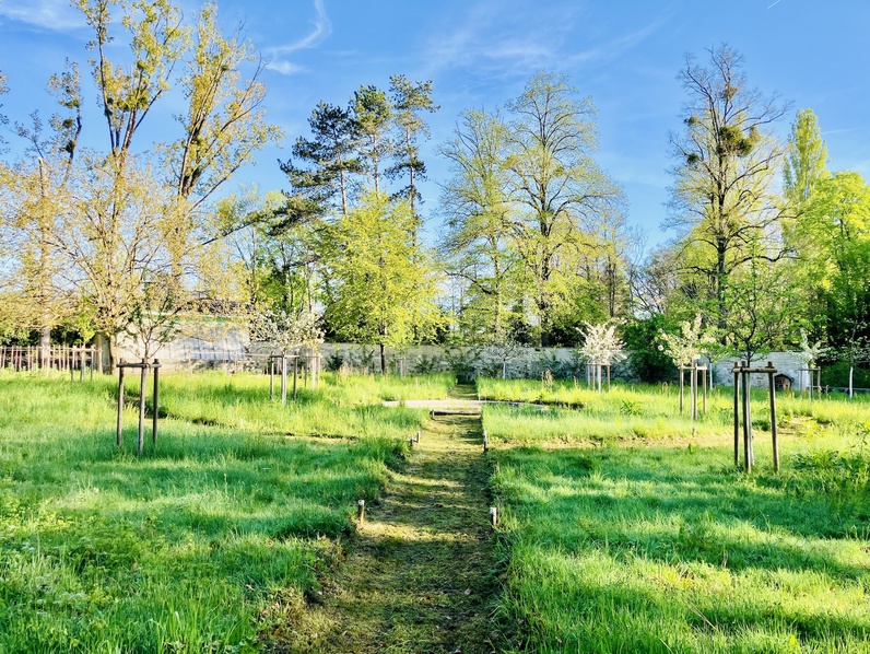 Eveil au Jardin de la Bécassine