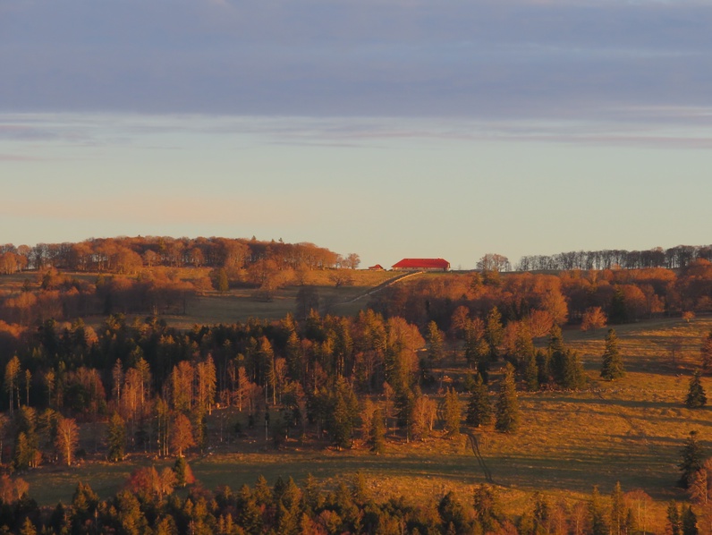 Balade au crépuscule et fondue en forêt