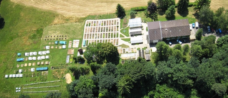 L’atelier pour enfants au CABI "la maison des mouches"