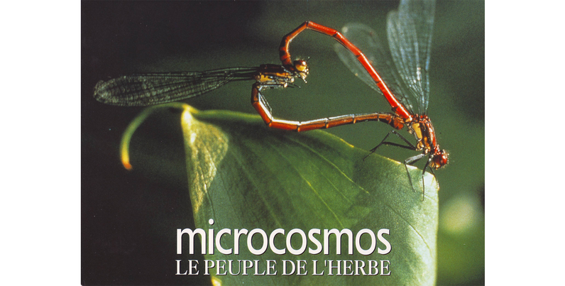 Film documentaire "Microcosmos, le Peuple de l'Herbe"