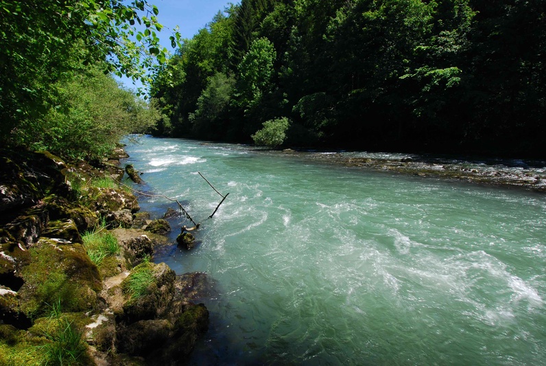 Inventaire aquatique