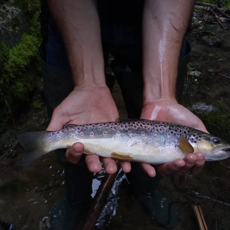 Visite de la Pisciculture d'Echallens