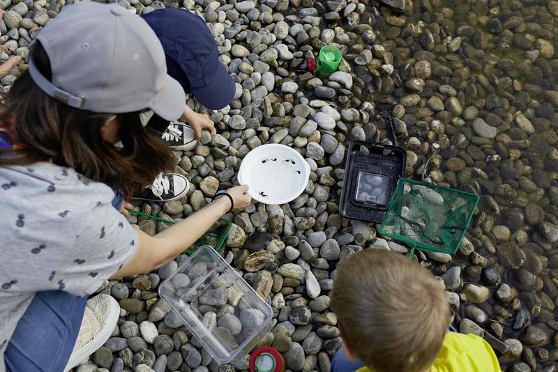 La Fête de la Nature fait sa rentrée